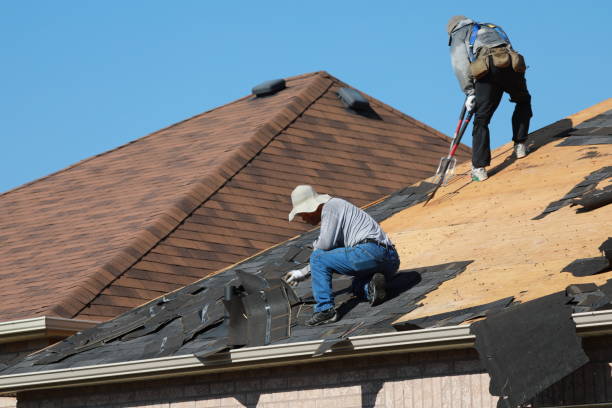 Best Roof Leak Repair  in Dryden, MI