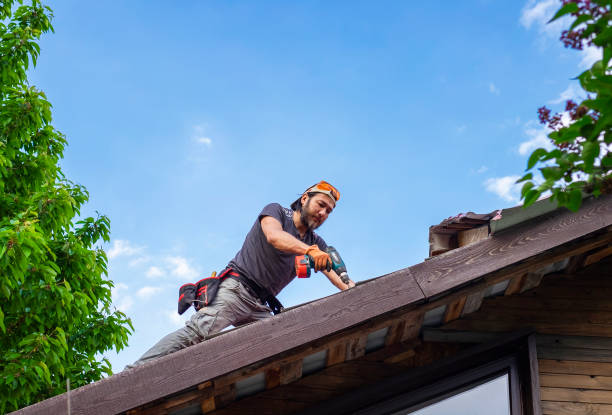 Best Solar Panel Roofing Installation  in Dryden, MI