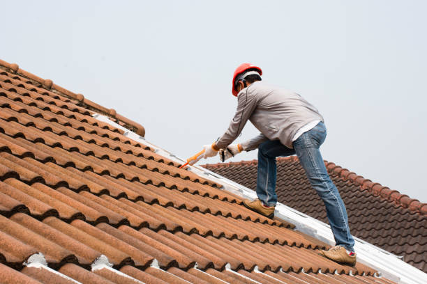 Best Roof Repair  in Dryden, MI