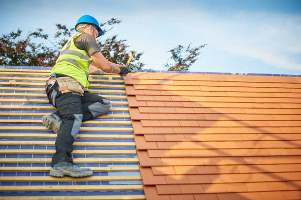 Best Hot Roofs  in Dryden, MI