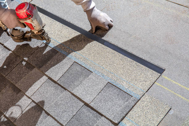 Best Roof Maintenance and Cleaning  in Dryden, MI